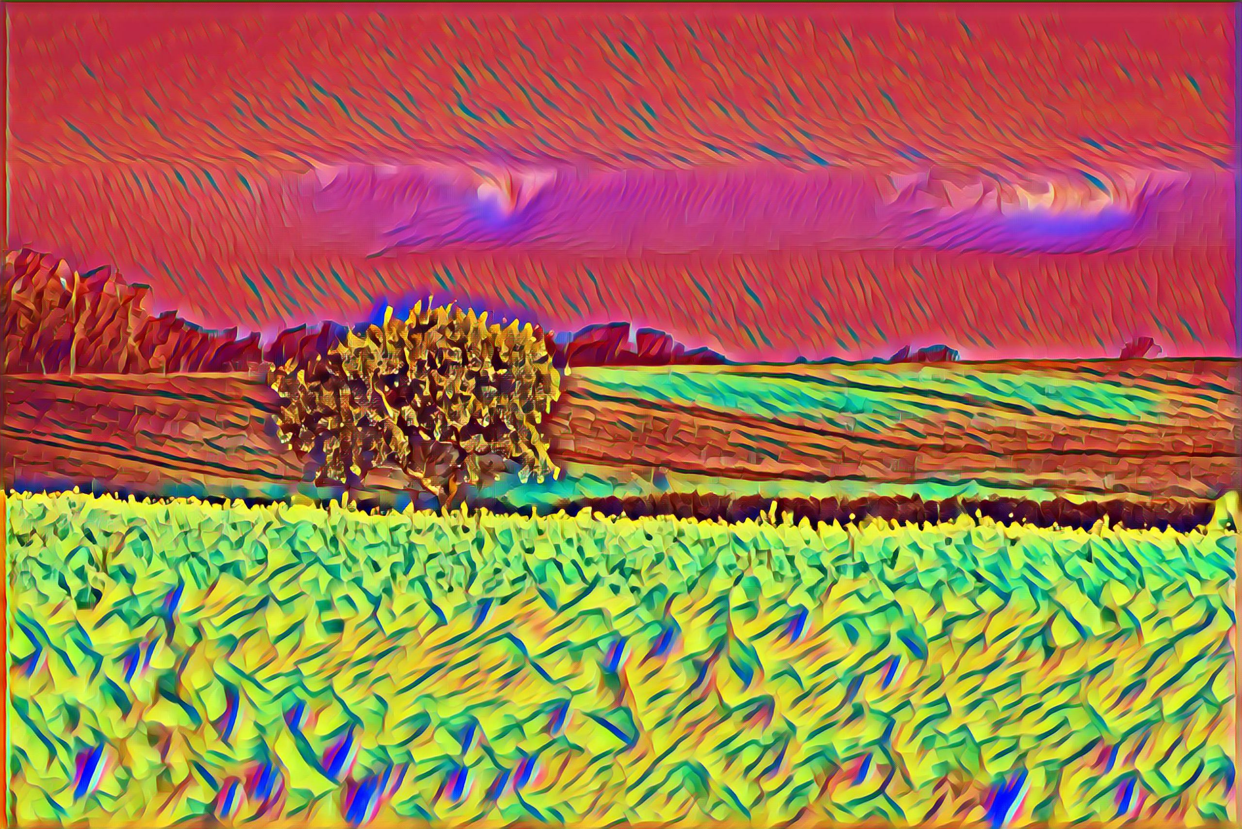 Placeholder Select Dynamic field