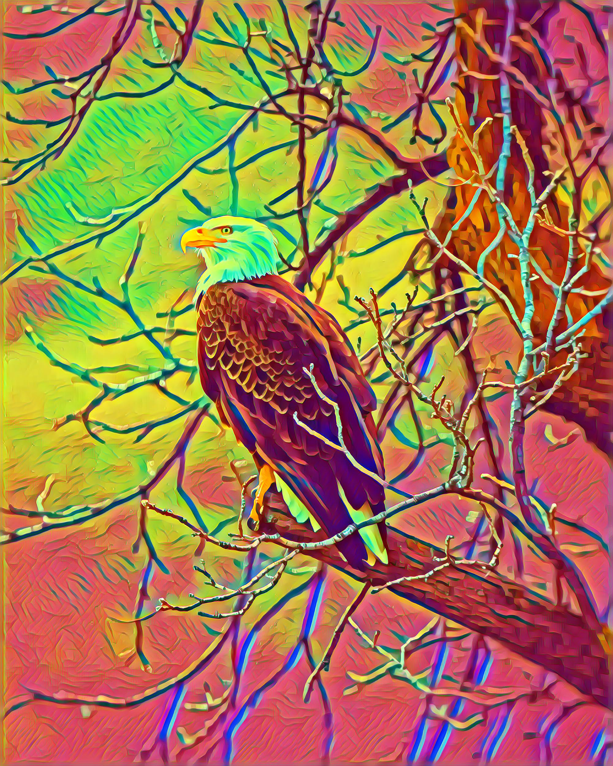 Placeholder Select Dynamic field