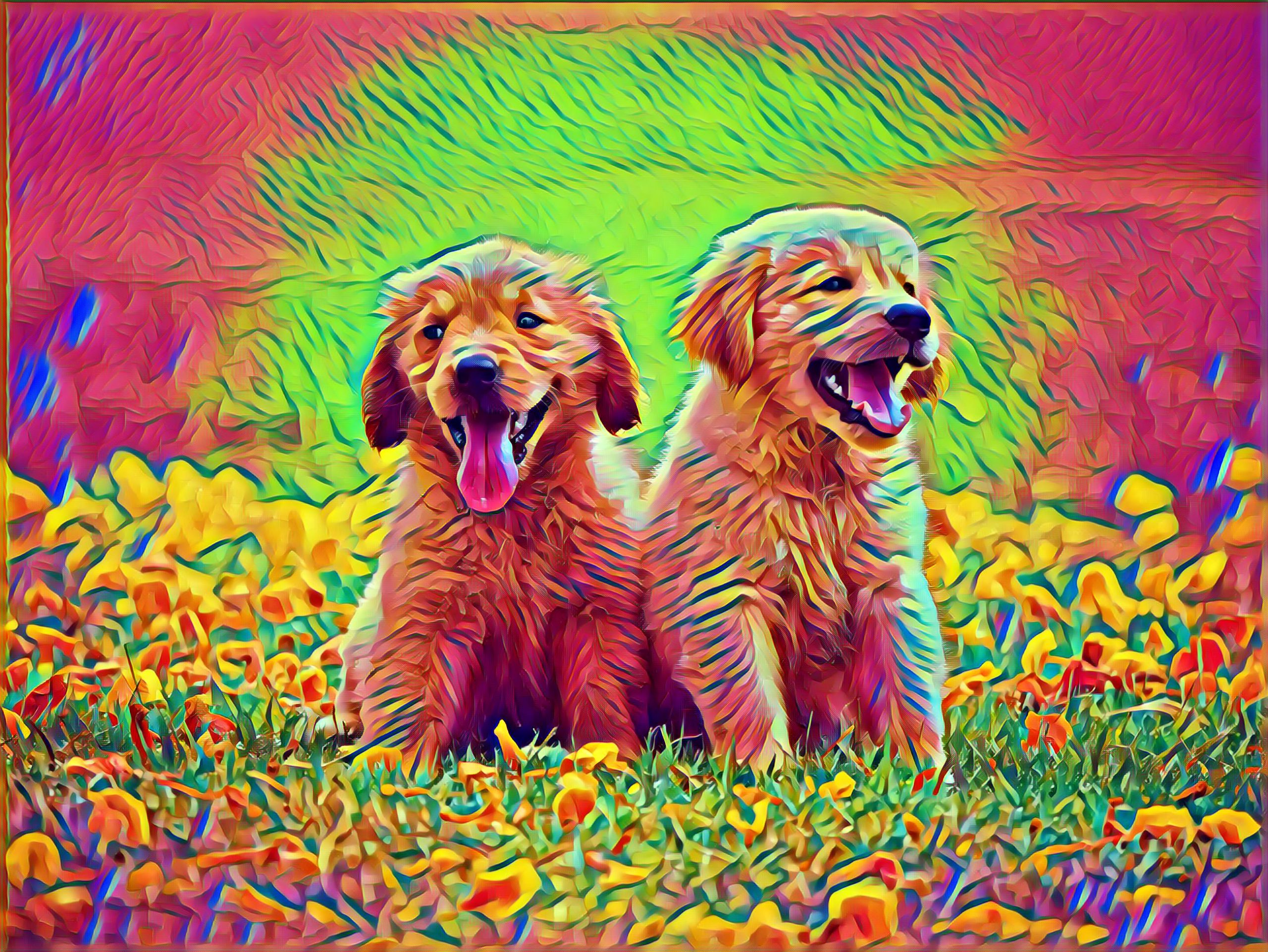 Placeholder Select Dynamic field