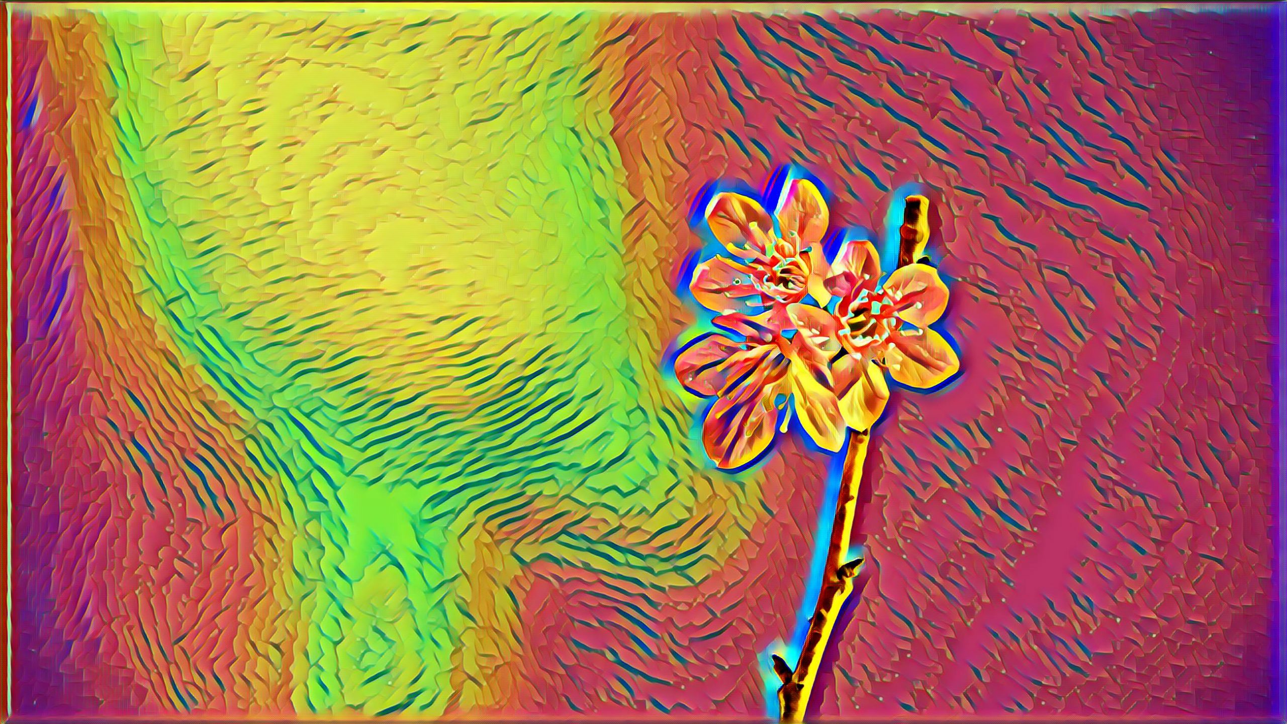 Placeholder Select Dynamic field