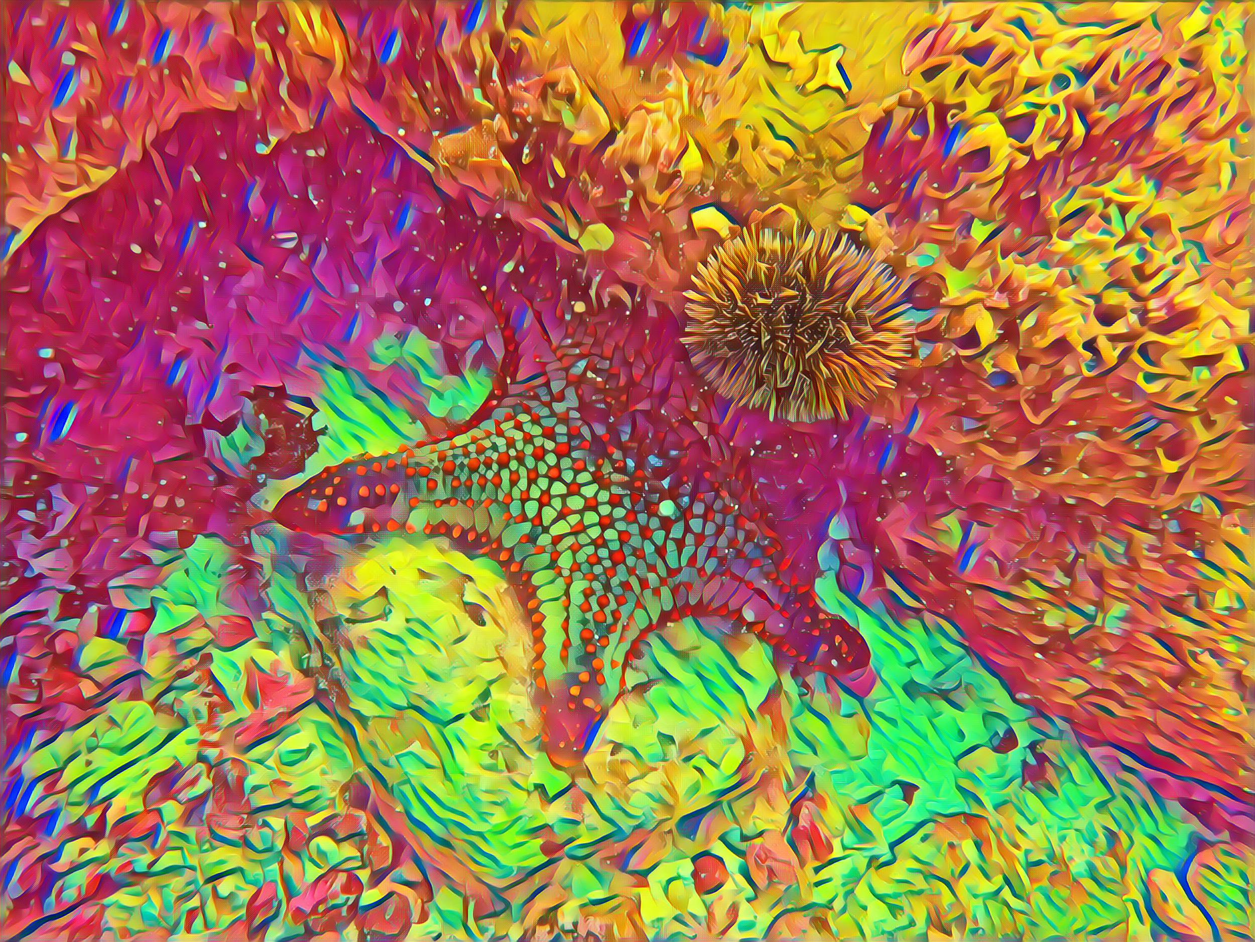 Select Dynamic field