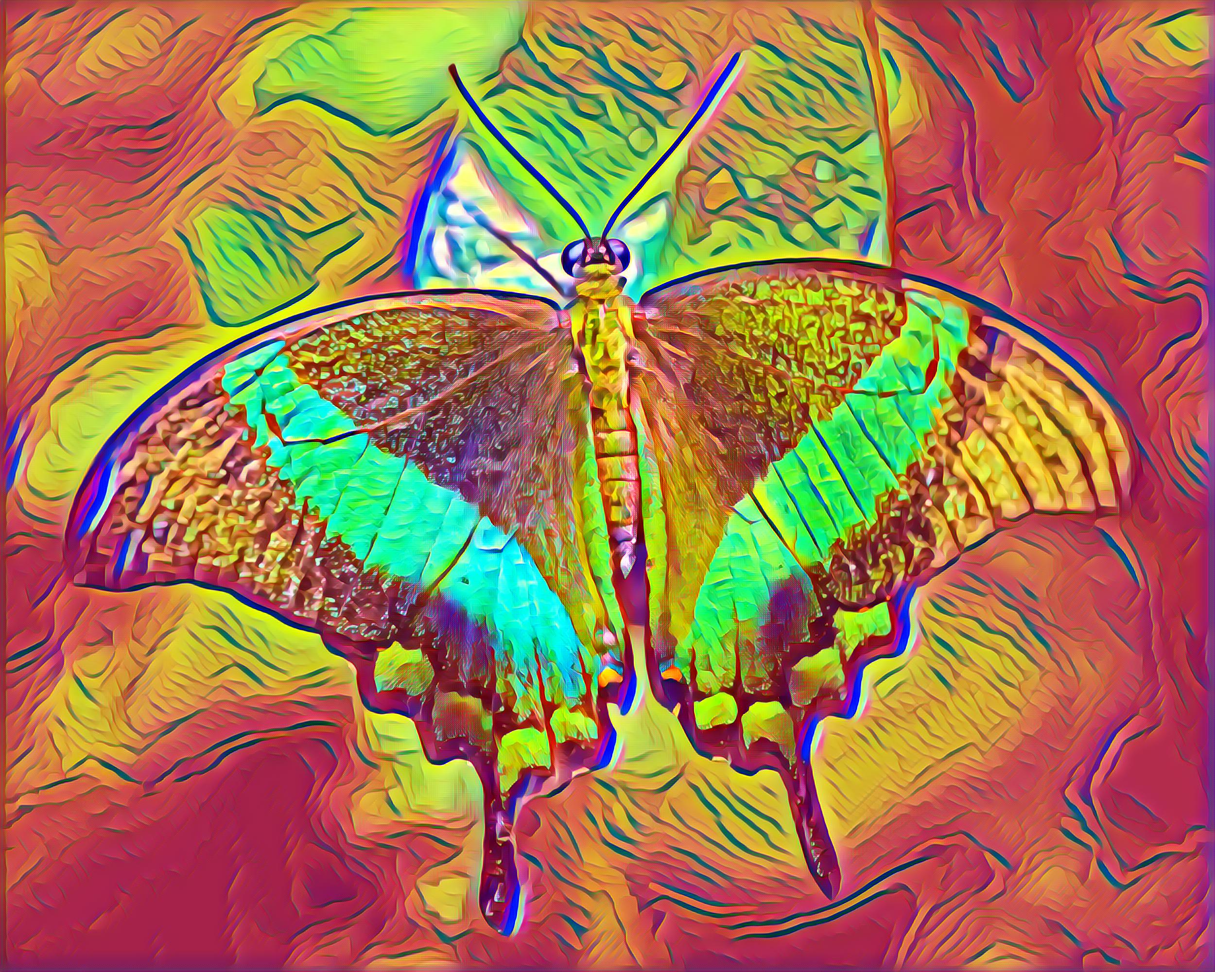 Select Dynamic field