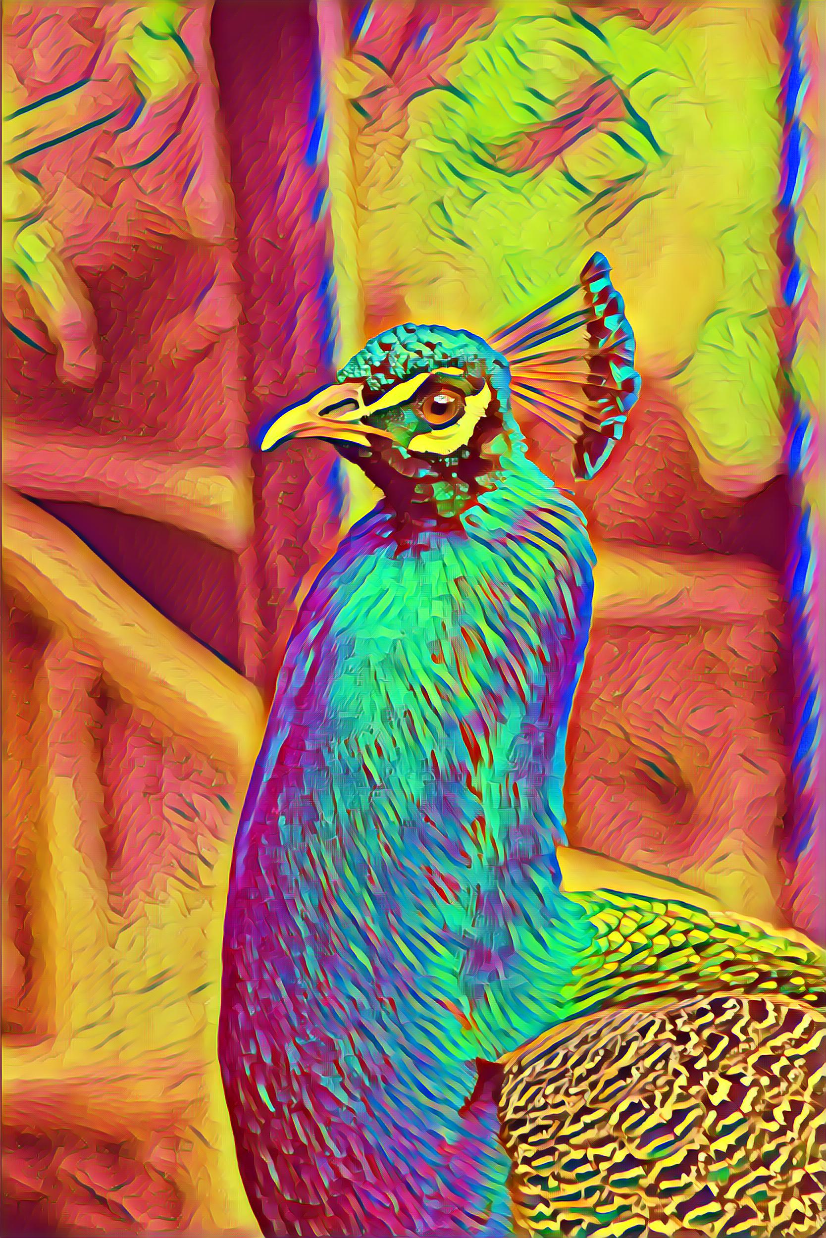 Select Dynamic field