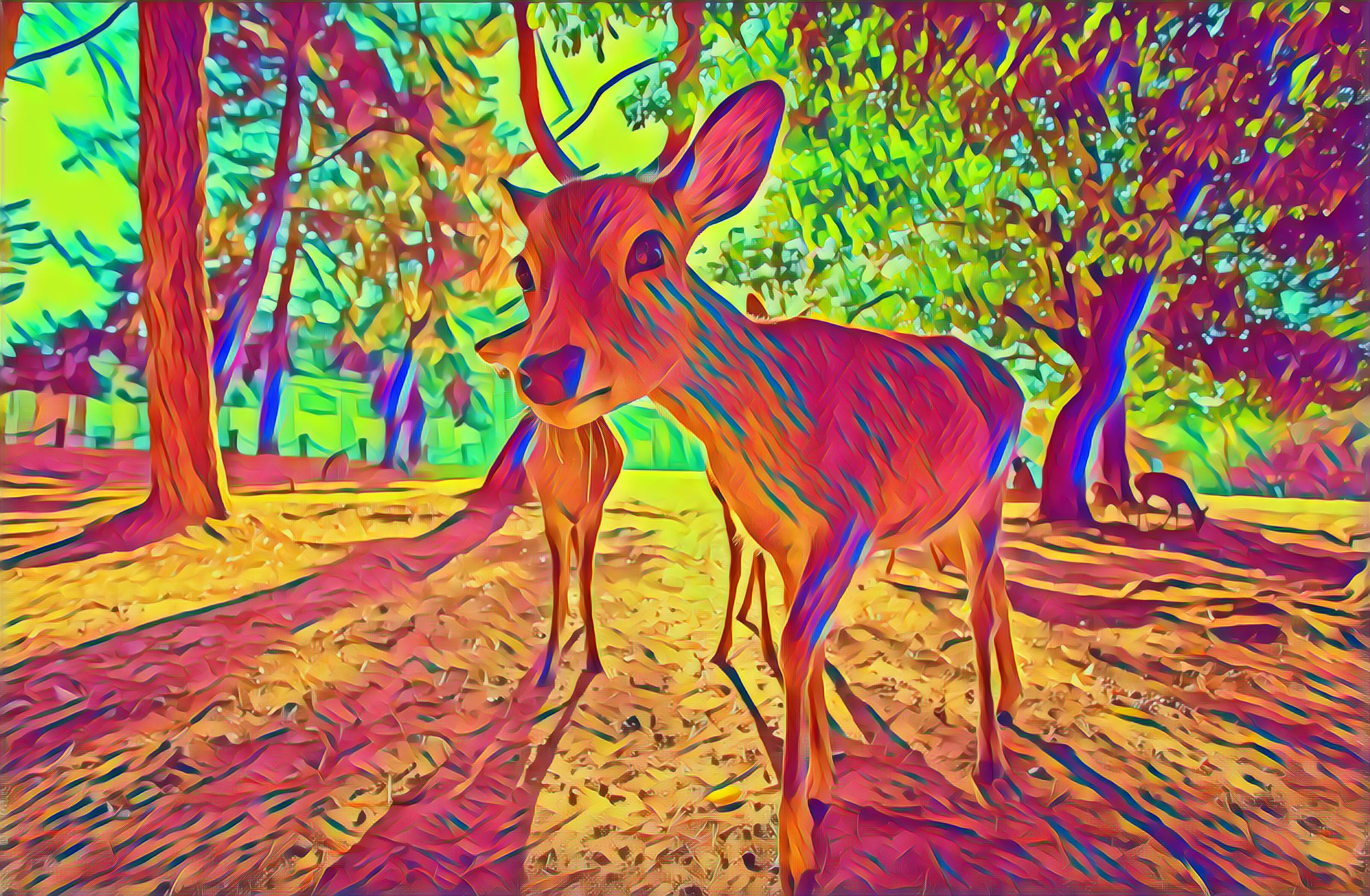 Select Dynamic field