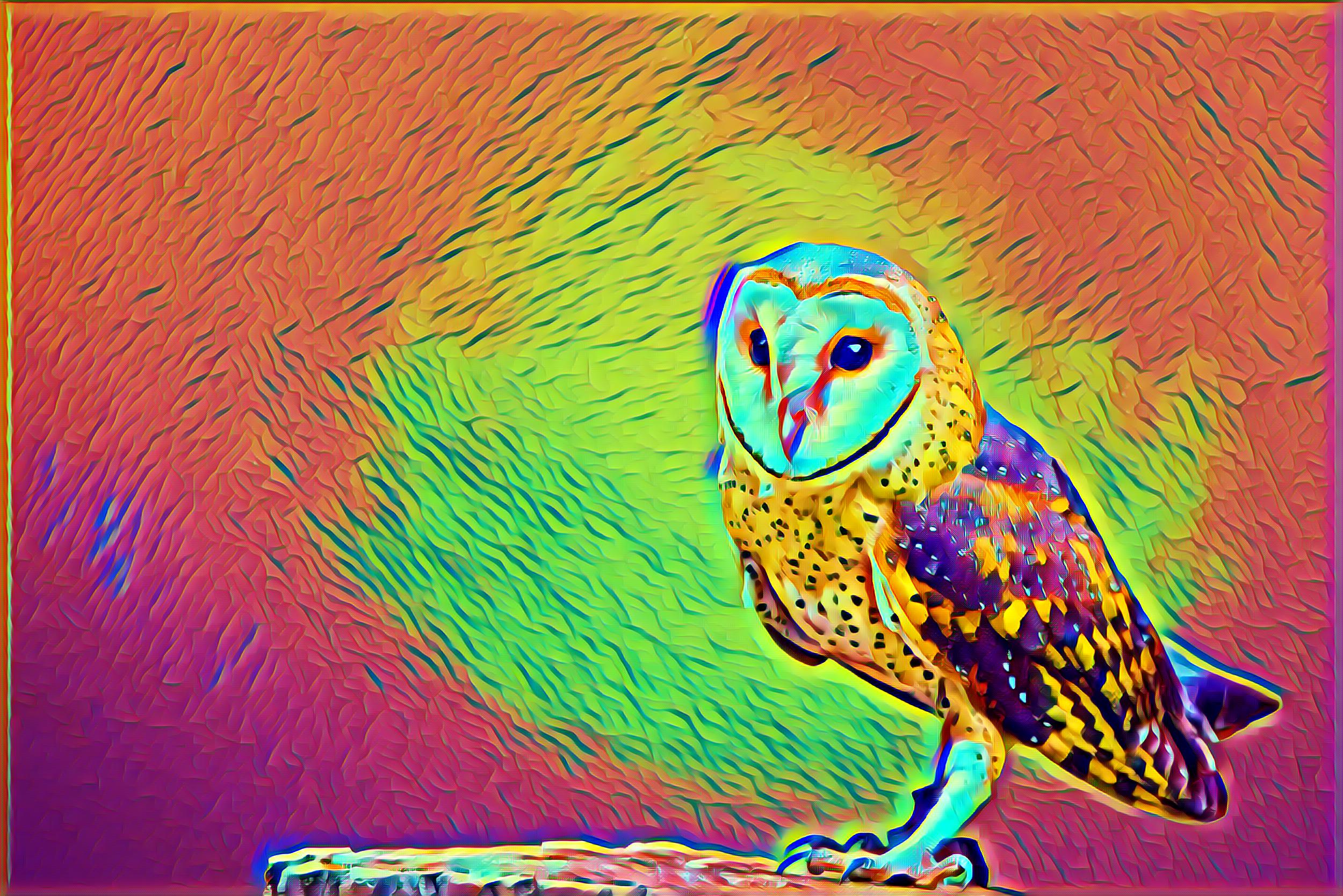 Placeholder Select Dynamic field