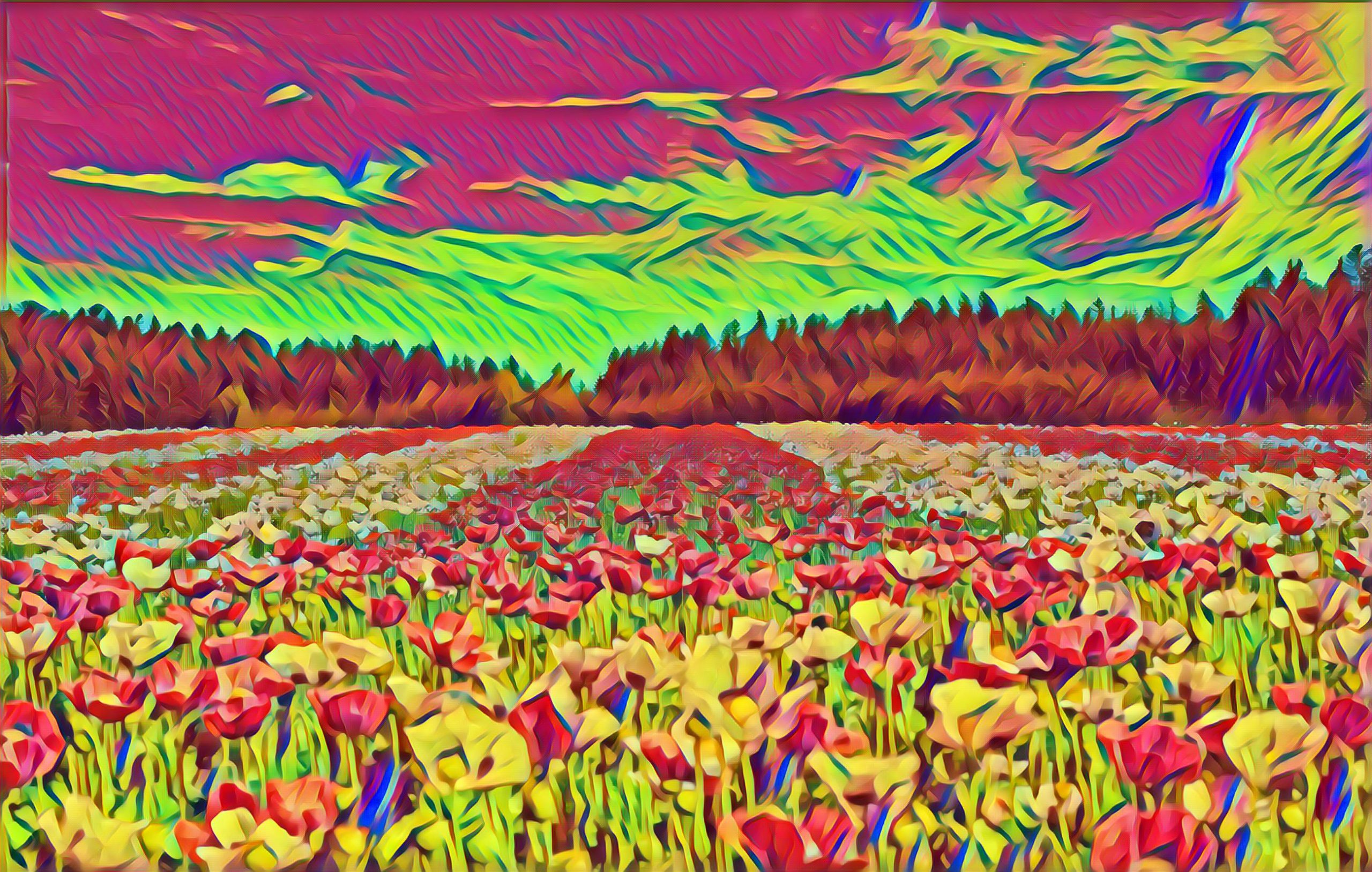 Select Dynamic field