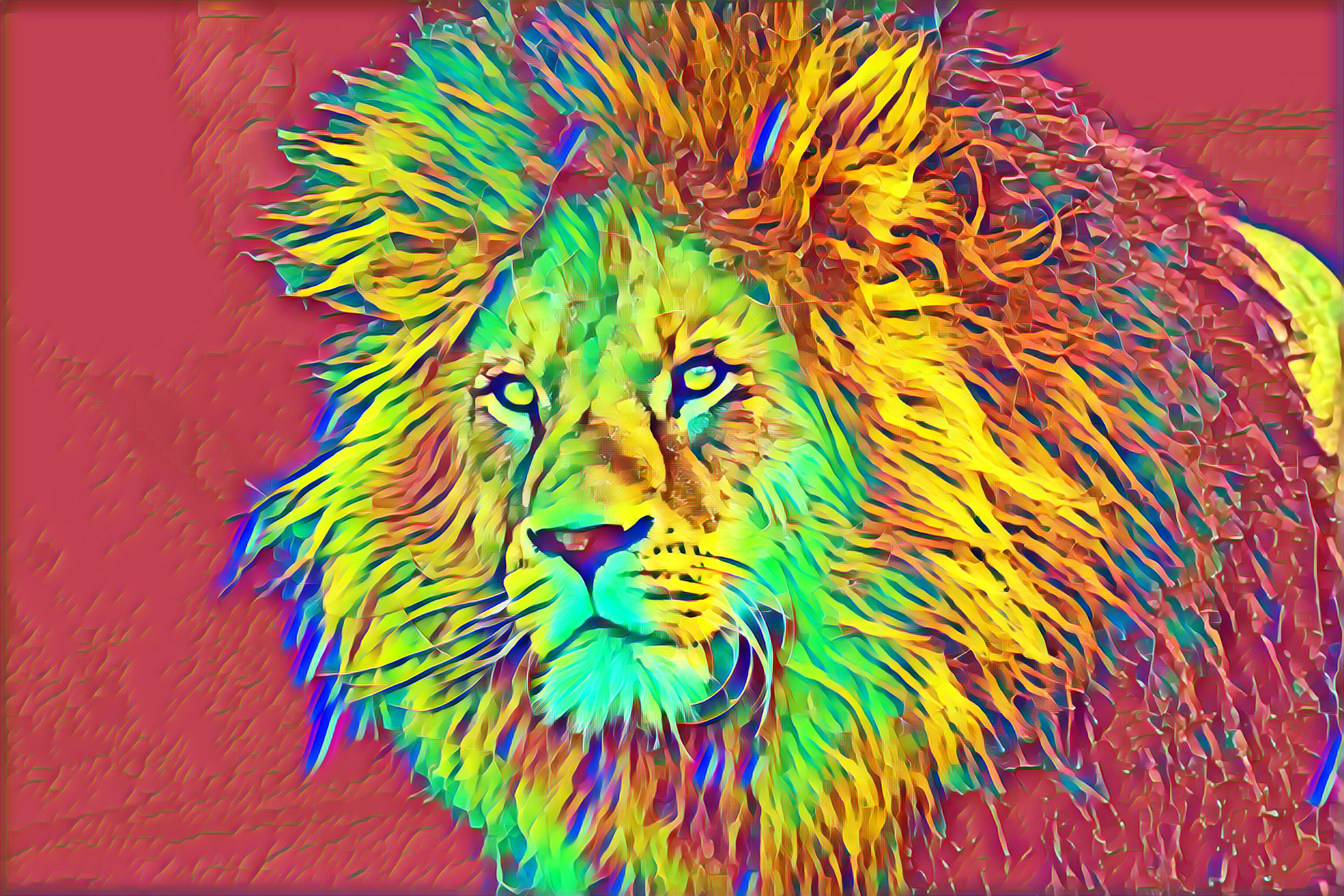 Select Dynamic field