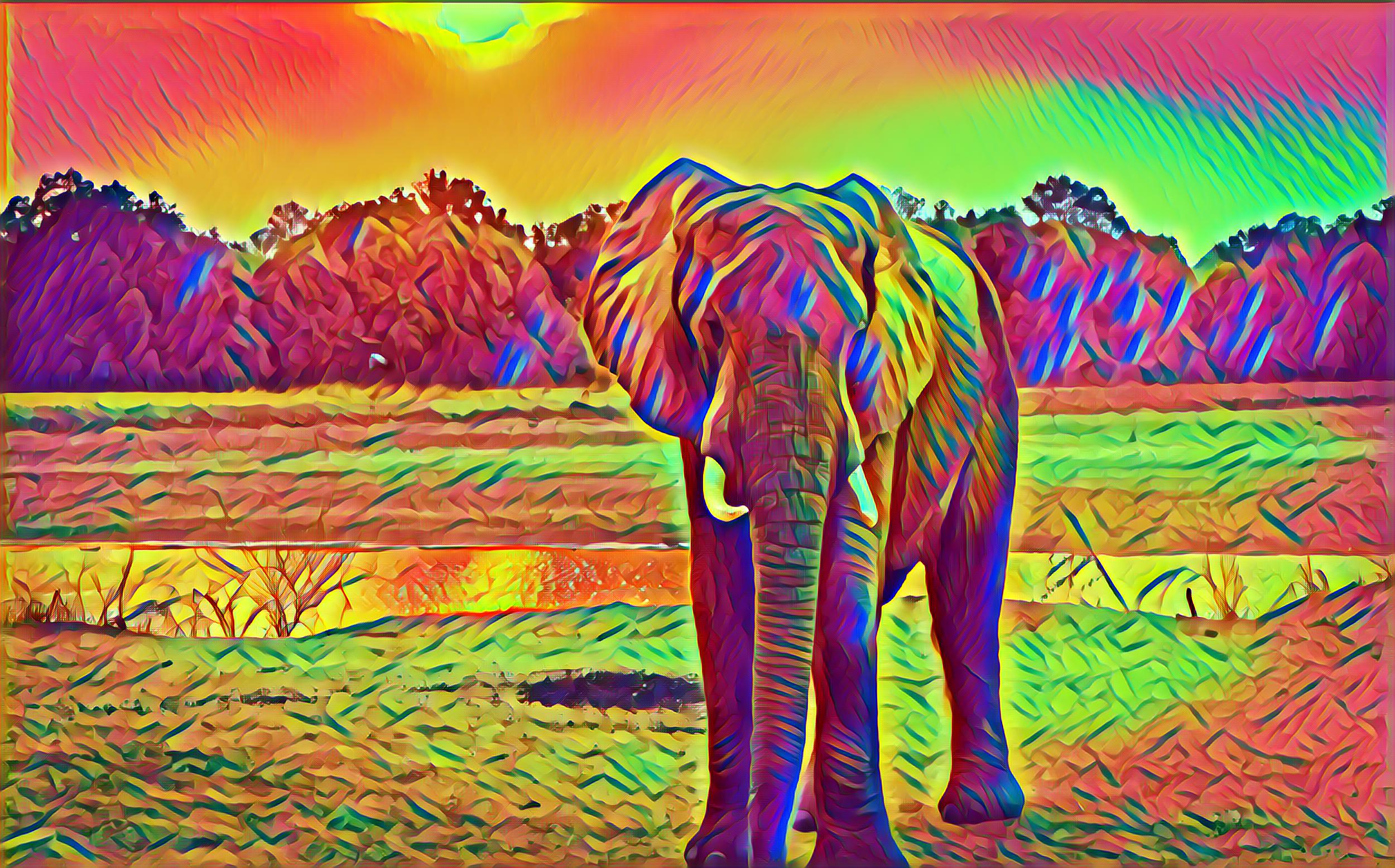 Select Dynamic field