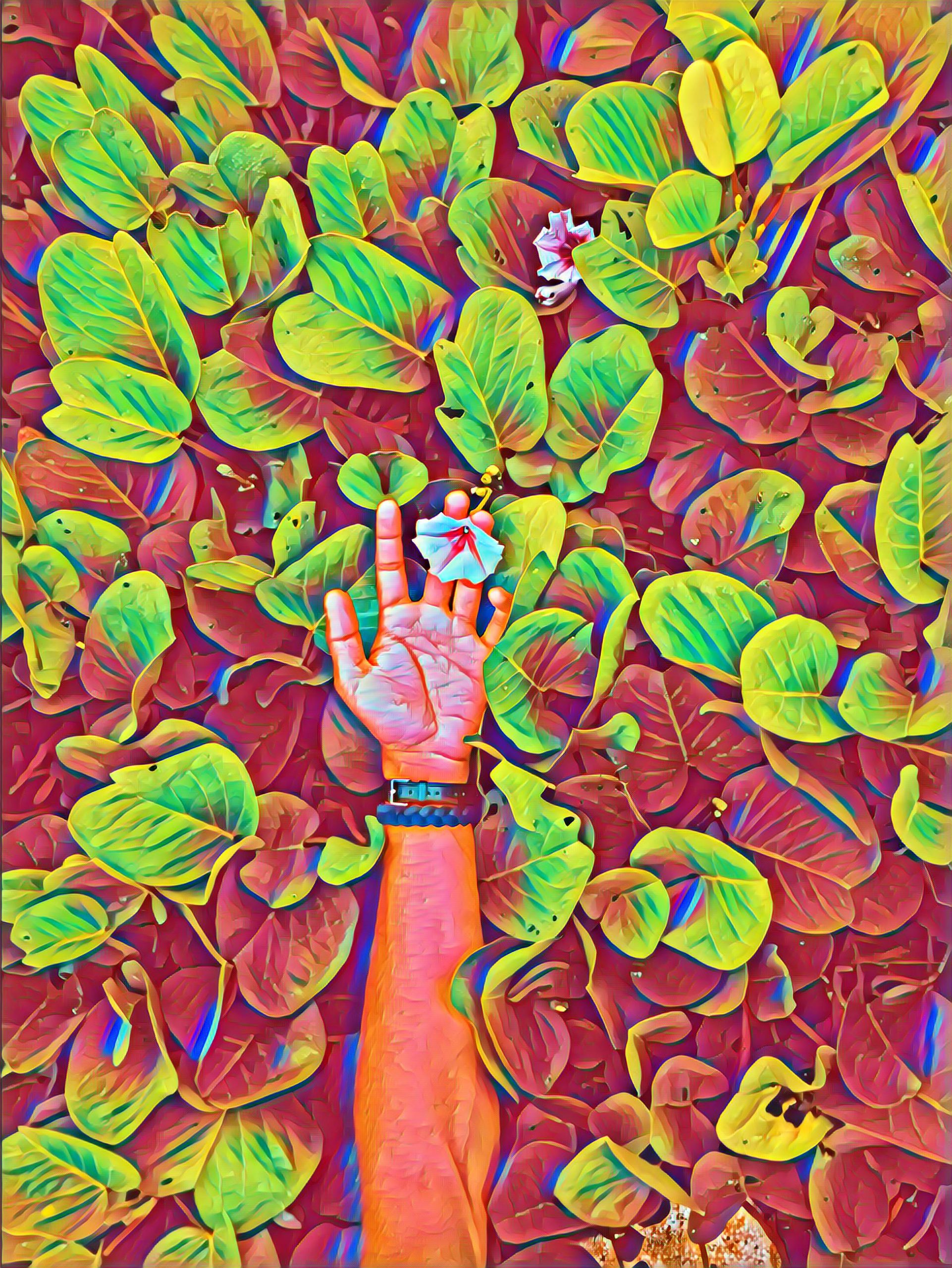 Select Dynamic field