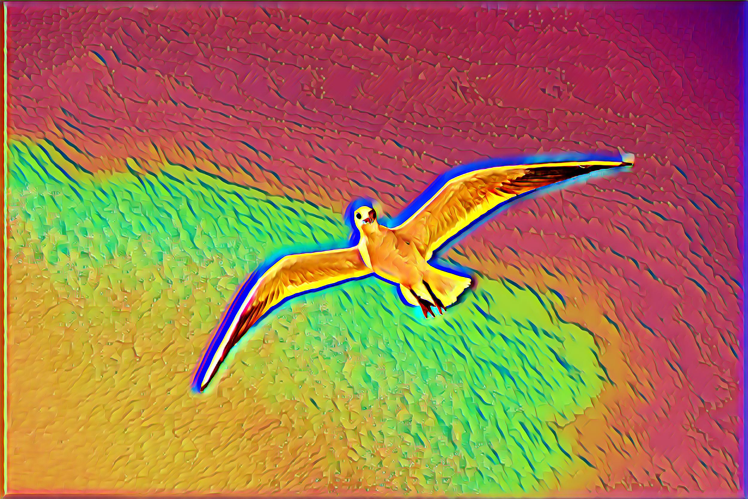 Select Dynamic field