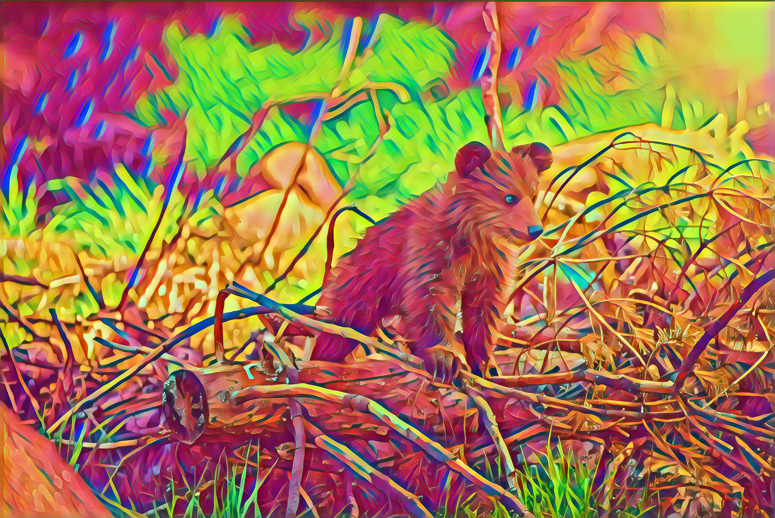 Placeholder Select Dynamic field