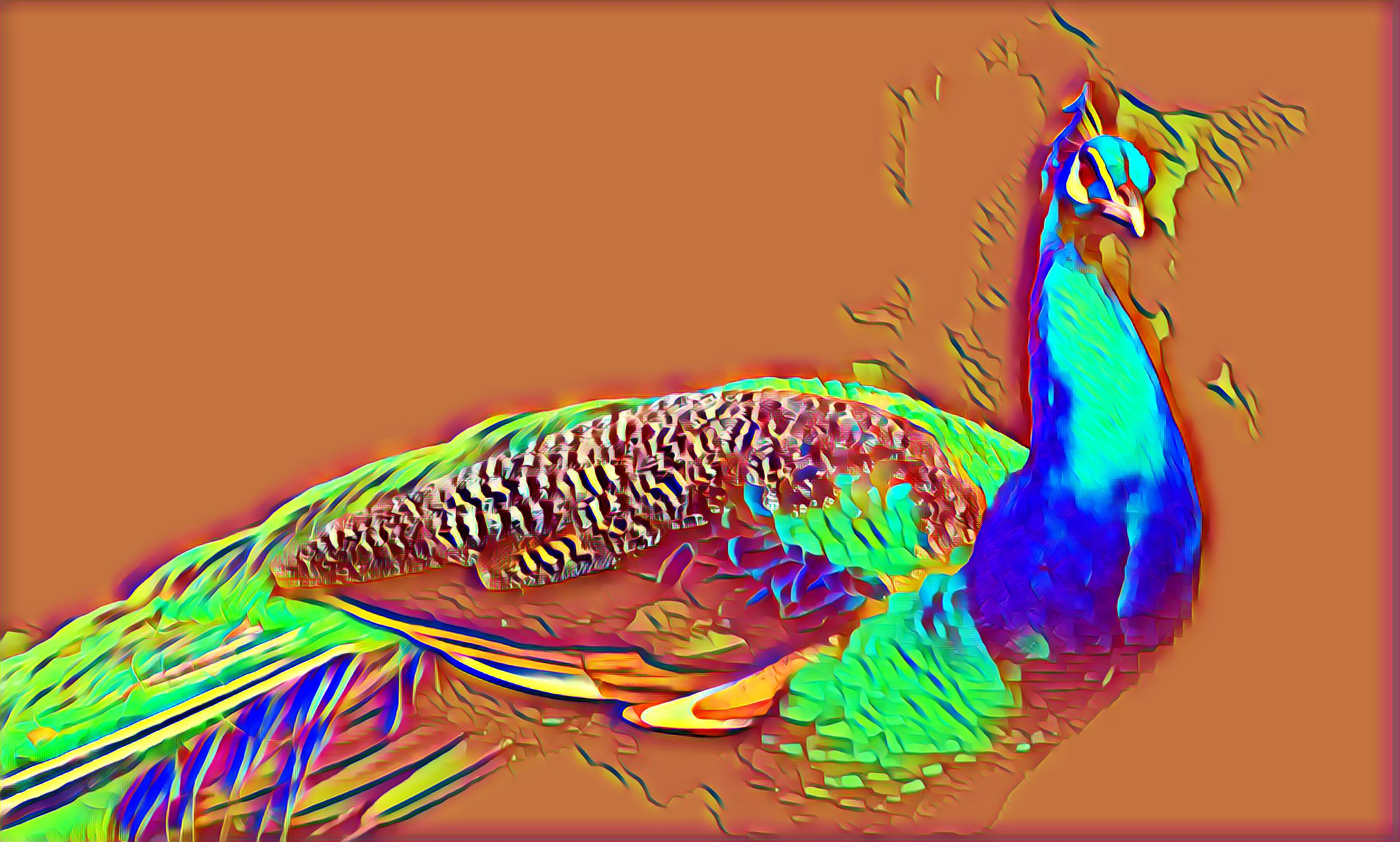 Select Dynamic field